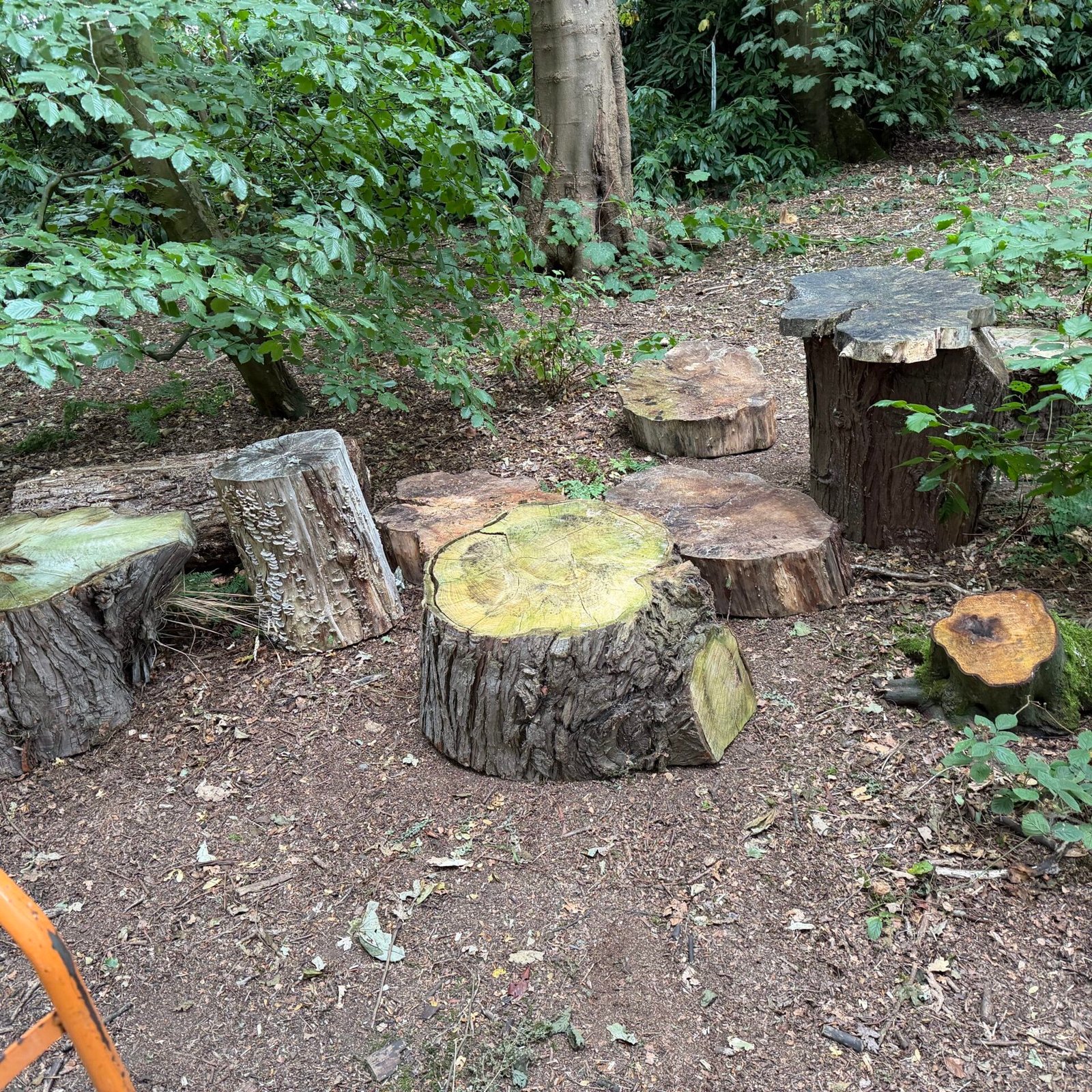 Logs