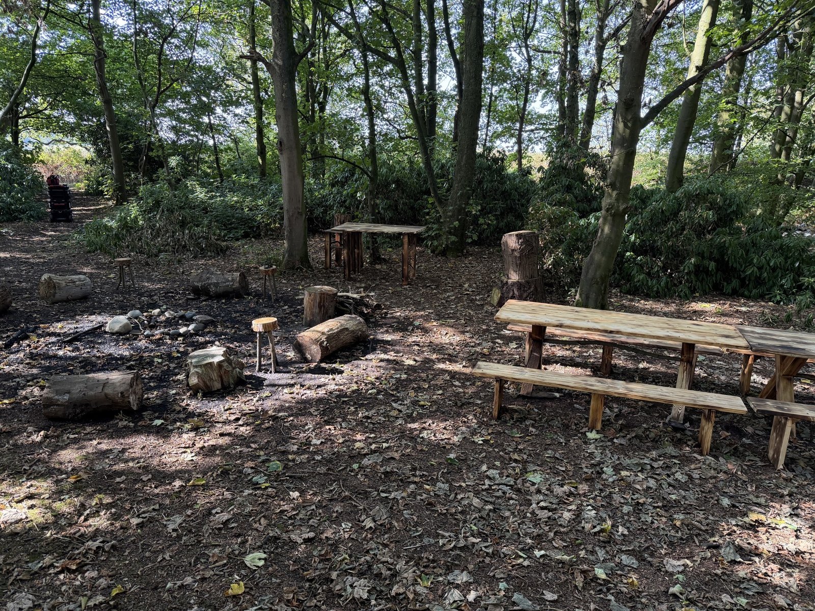 Viking Camp