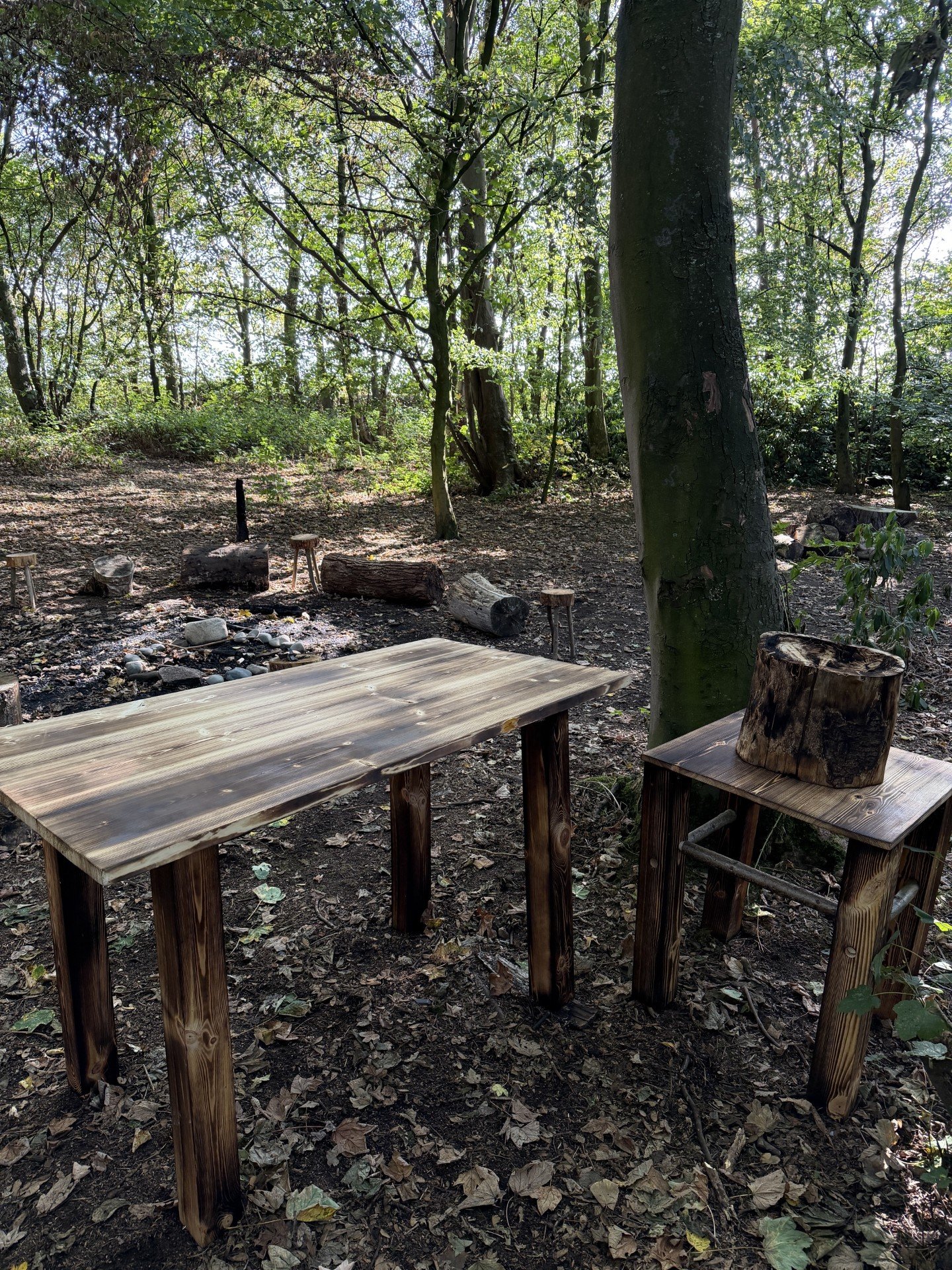 Viking Kitchen