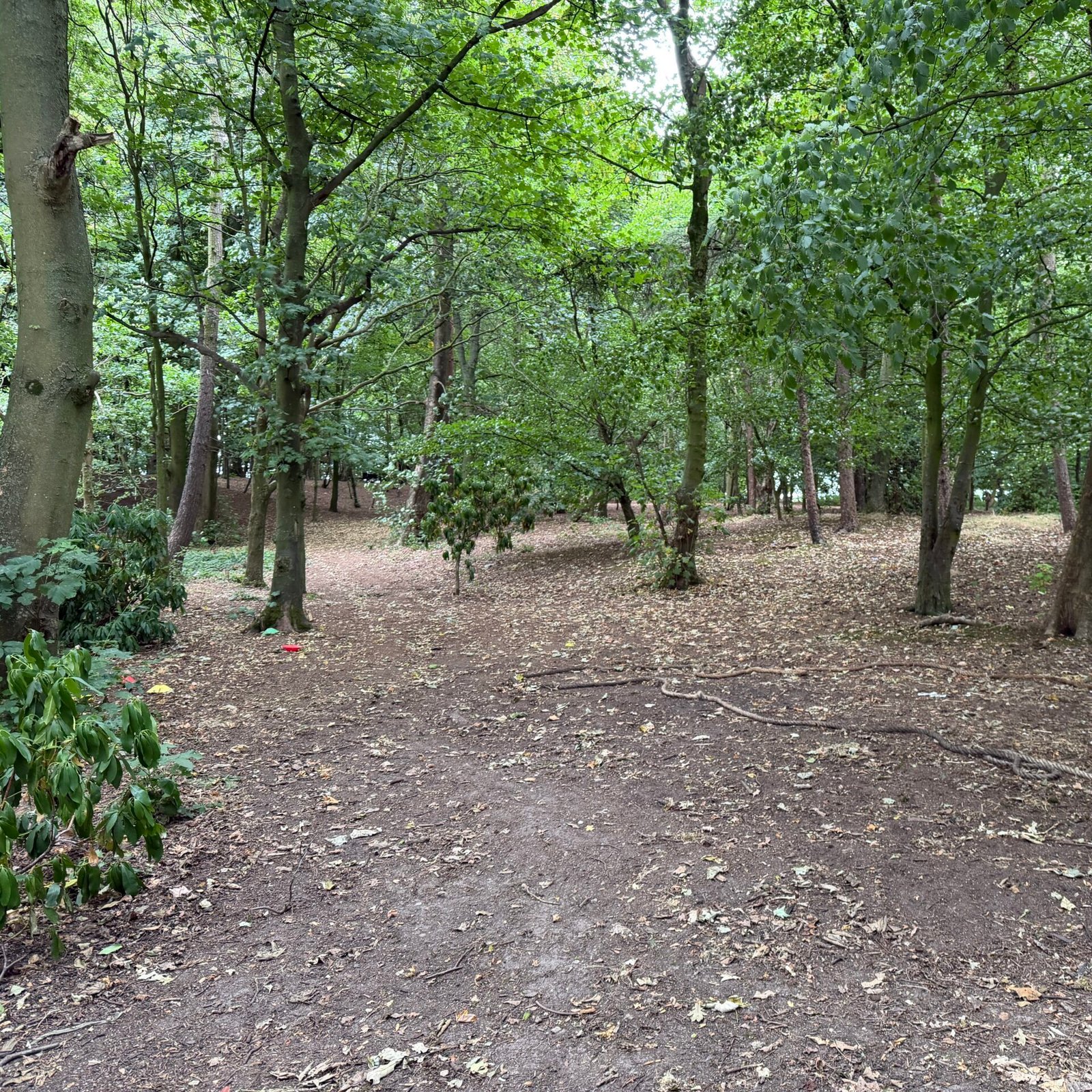 Járnheim Woodlands