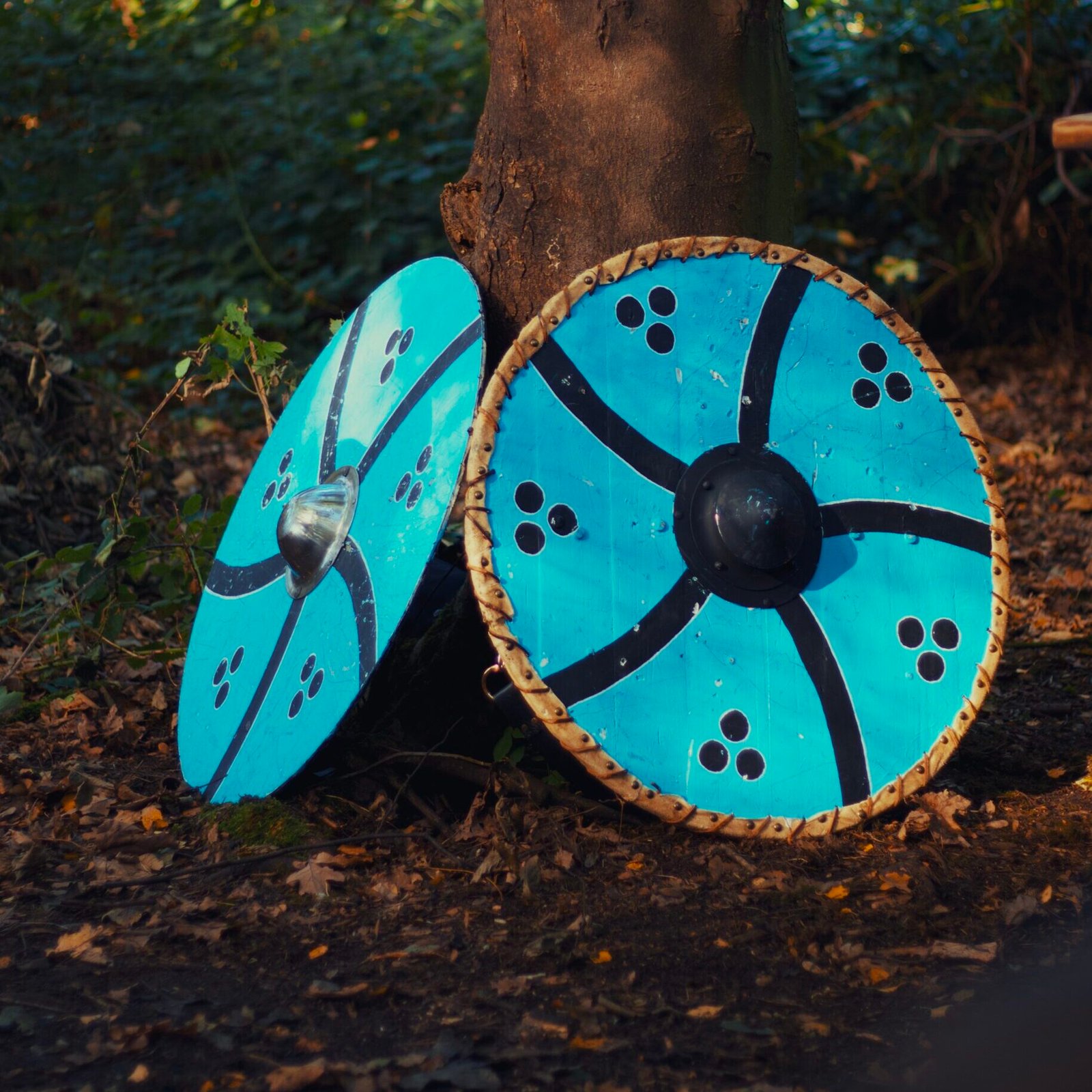 Viking Shield